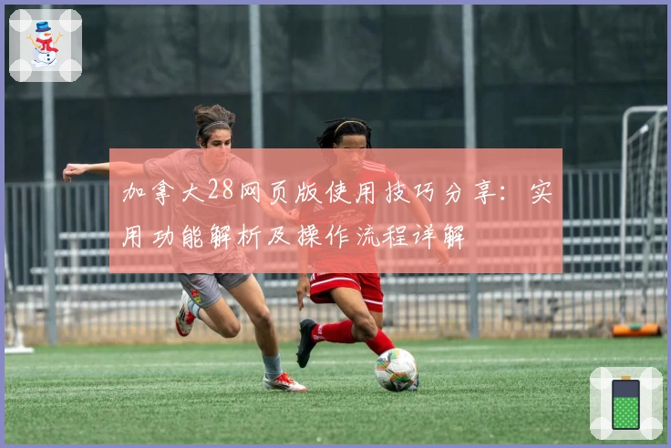 加拿大28网页版使用技巧分享：实用功能解析及操作流程详解