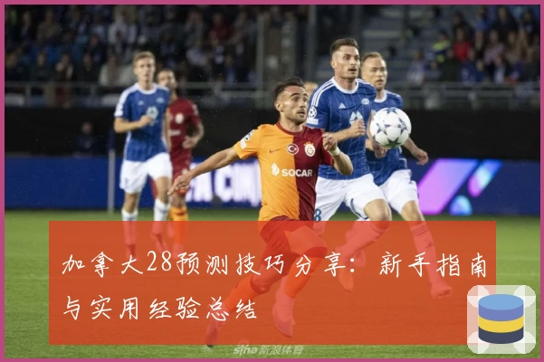 加拿大28预测技巧分享:新手指南与实用经验总结