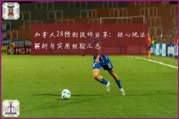 加拿大28预测技巧分享：核心玩法解析与实用经验汇总