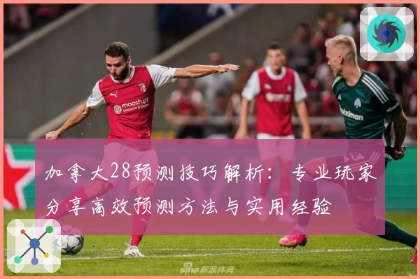 加拿大28预测技巧解析：专业玩家分享高效预测方法与实用经验