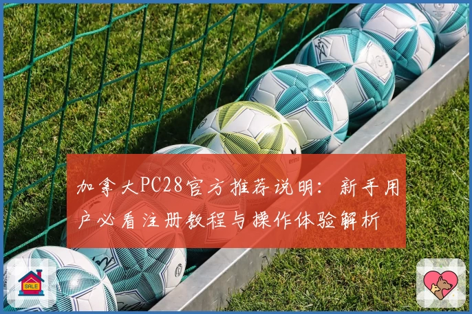 加拿大PC28官方推荐说明：新手用户必看注册教程与操作体验解析