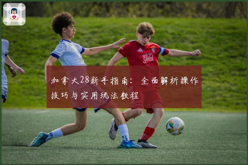 加拿大28新手指南：全面解析操作技巧与实用玩法教程