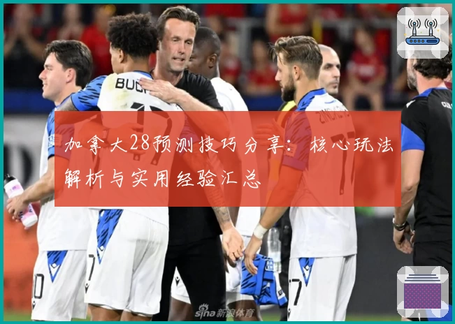 加拿大28预测技巧分享：核心玩法解析与实用经验汇总