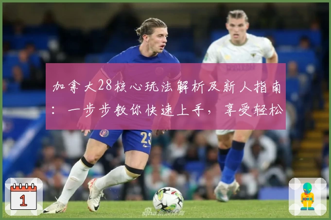 加拿大28核心玩法解析及新人指南：一步步教你快速上手，享受轻松趣味体验