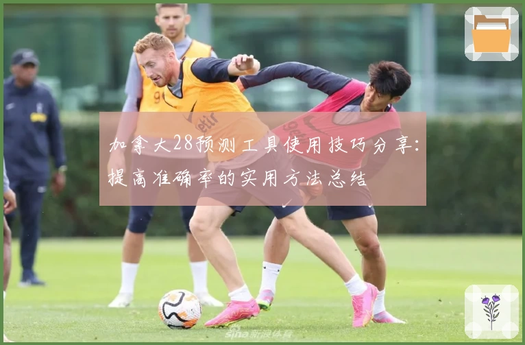 加拿大28预测工具使用技巧分享：提高准确率的实用方法总结