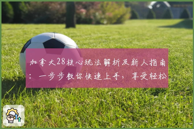 加拿大28核心玩法解析及新人指南：一步步教你快速上手，享受轻松趣味体验