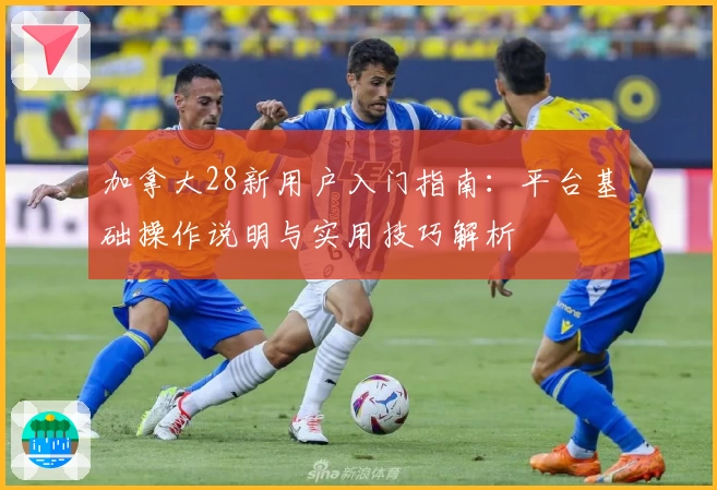 加拿大28新用户入门指南：平台基础操作说明与实用技巧解析