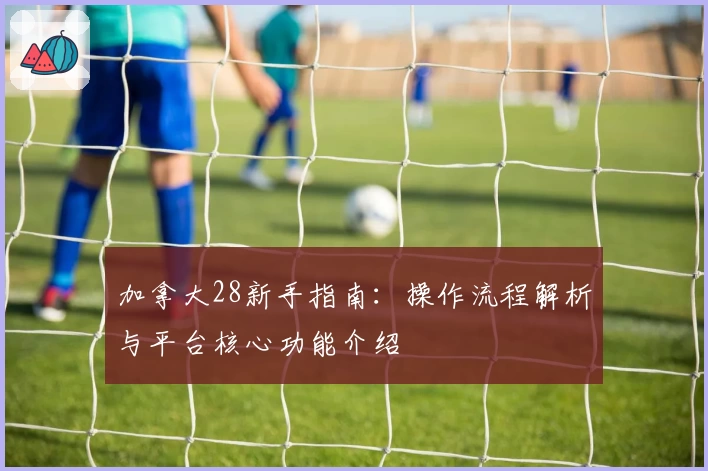 加拿大28新手指南：操作流程解析与平台核心功能介绍