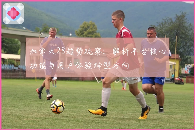 加拿大28趋势观察：解析平台核心功能与用户体验转型方向