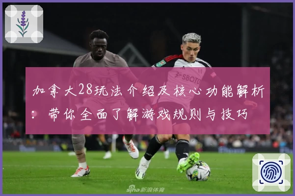 加拿大28玩法介绍及核心功能解析：带你全面了解游戏规则与技巧