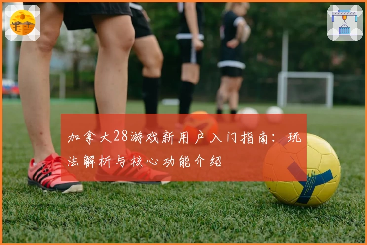 加拿大28游戏新用户入门指南：玩法解析与核心功能介绍